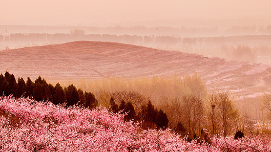 ��ʱ|AG(AsiaGaming)������Ӫ��