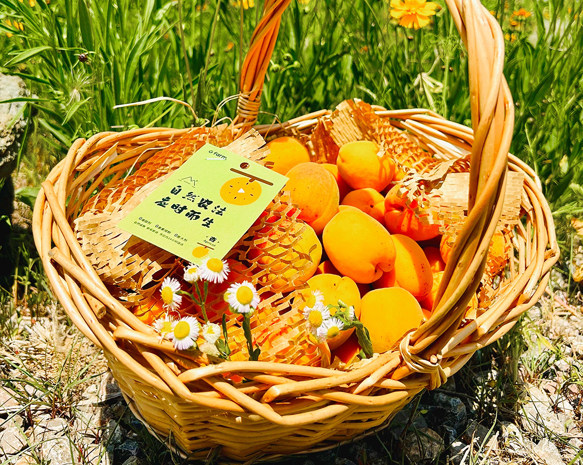 ��ʱ|AG(AsiaGaming)������Ӫ��